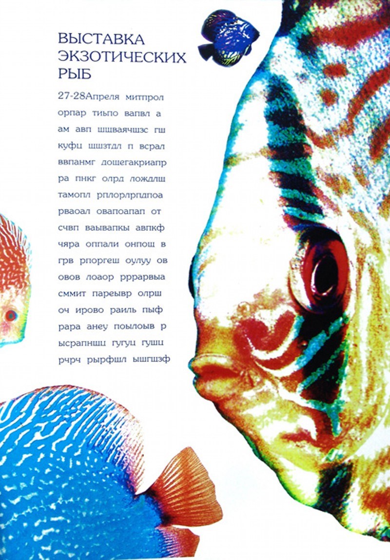 DSC01234a