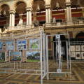 4C4A0037.JPG