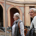 4C4A1596.JPG