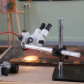 4C4A5595.JPG