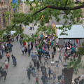 4C4A8713.JPG