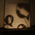 DSC01638.jpg