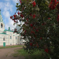 IMG_0896.jpg