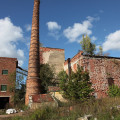 IMG_1134.jpg