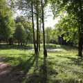 IMG_1196.jpg