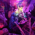 IMG_20260708_165413.jpg