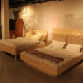 IMG_8720.JPG