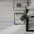 IMG_9983.JPG