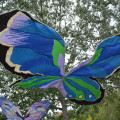 Image01.jpg