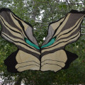 Image02.jpg