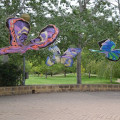 Image03.jpg
