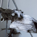 Image11.JPG
