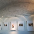 Image16.jpg