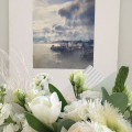 Image23.JPG