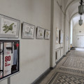 PXL_20250507_092219918.MP.jpg