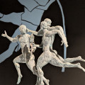 PXL_20250708_092650966.MP.jpg