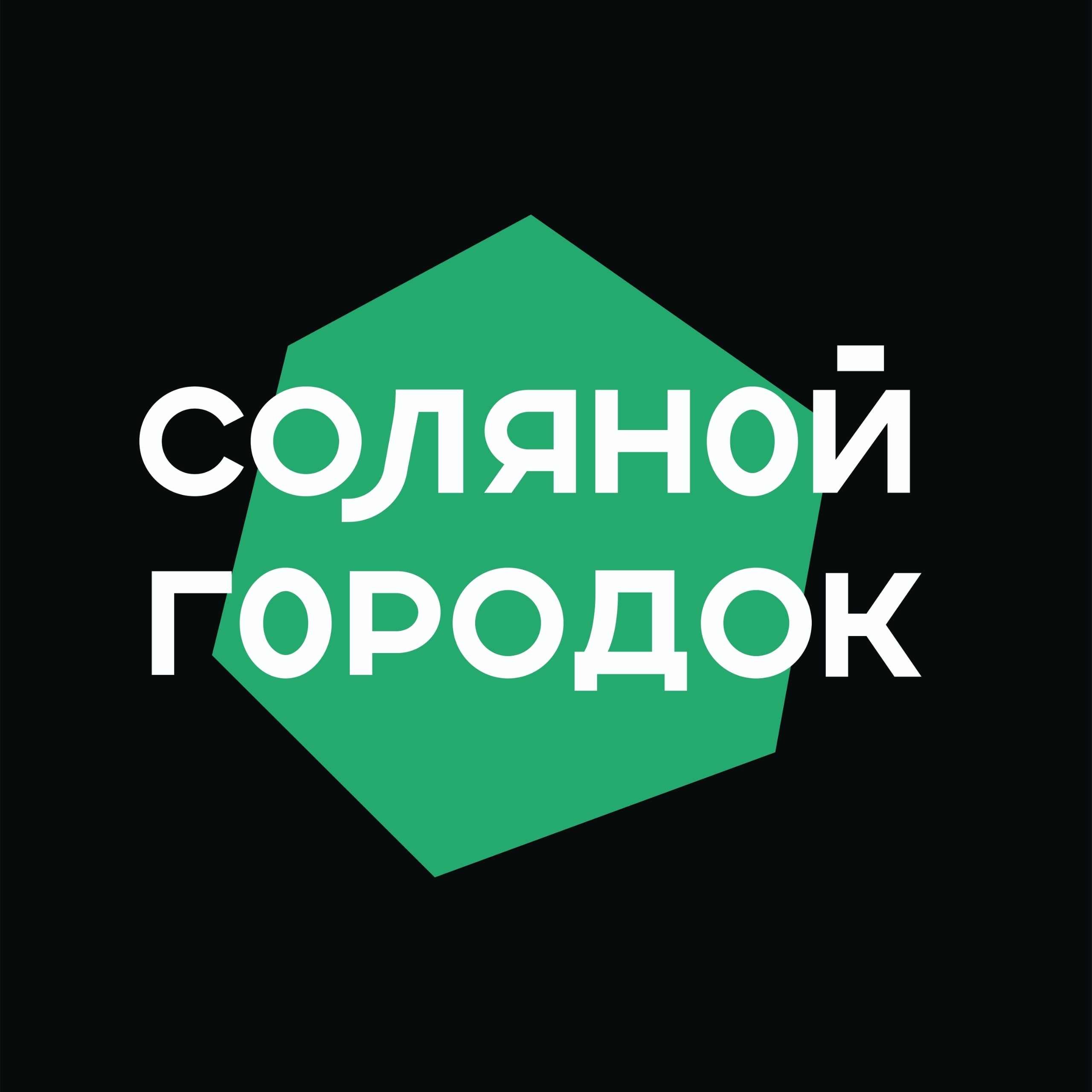 XXIX Международный фестиваль искусства «Соляной городок – город мастеров»