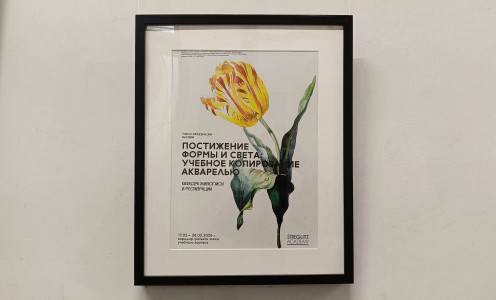 В Академии Штиглица открылась методическая выставка «Постижение формы и света: учебное копирование акварелью»