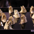 foto00045.jpg
