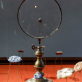 jvs_4572.jpg